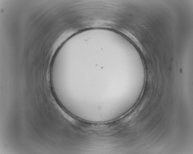 X0000062921285200602031913