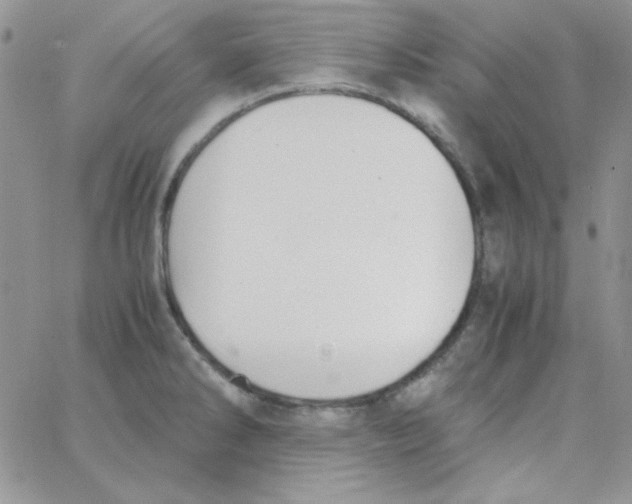 X0000062921286200602031913