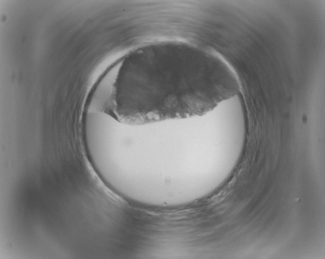 X0000062921287200602031912