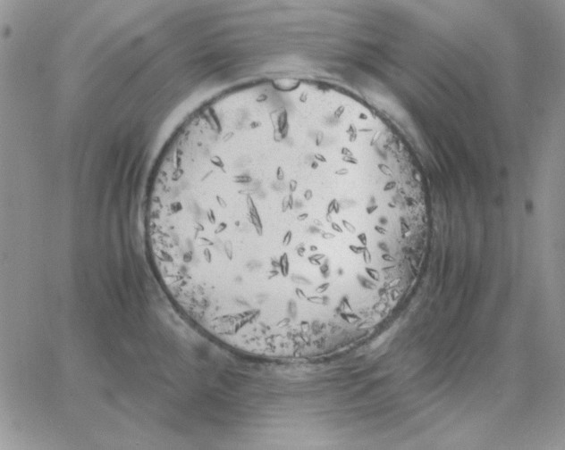 X0000062921288200602031912