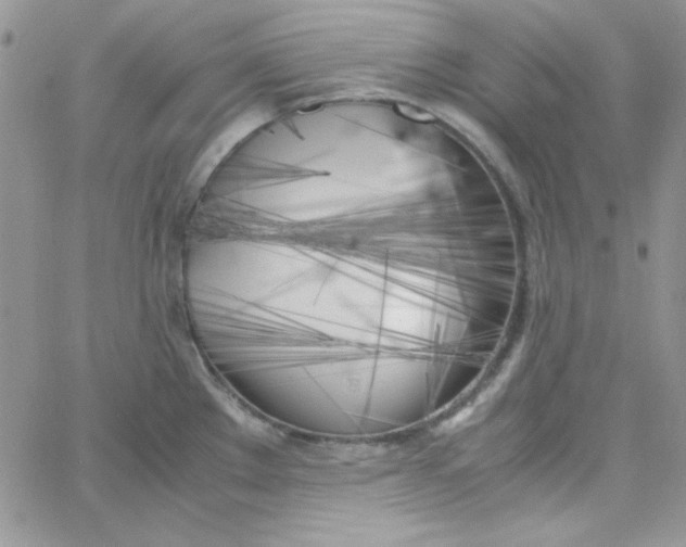 X0000062921289200602031912