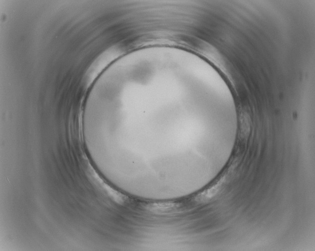 X0000062921290200602031912