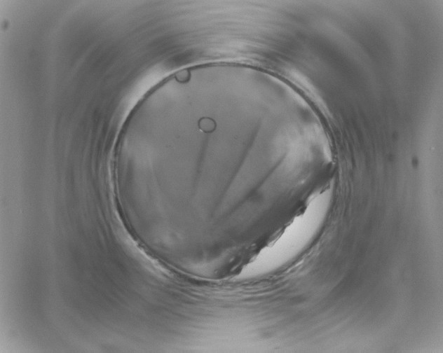 X0000062921291200602031912