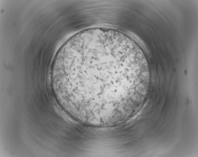 X0000062921292200602031912