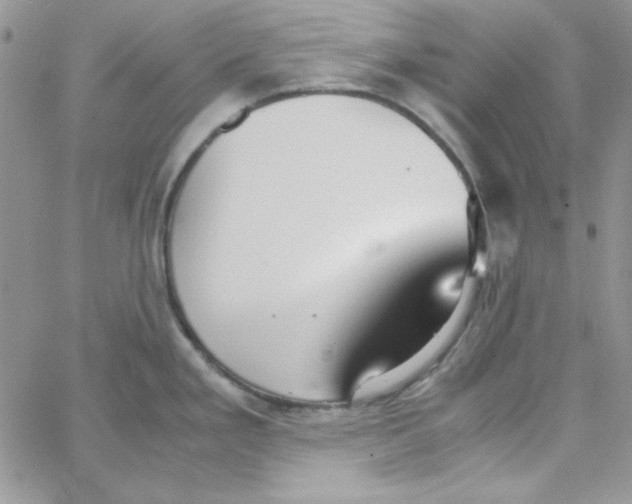 X0000062921293200602031912