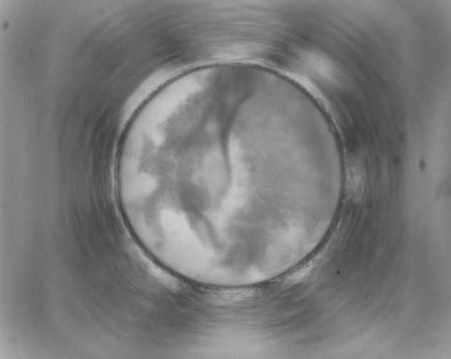 X0000062921294200602031912