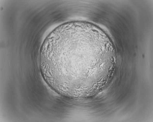 X0000062921295200602031912