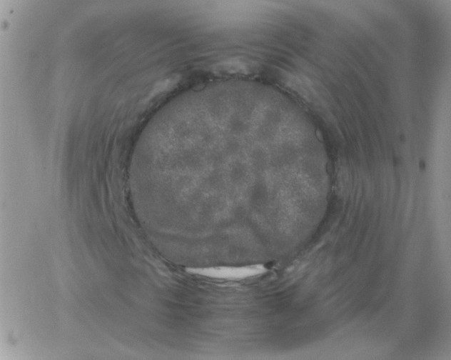 X0000062921297200602031912