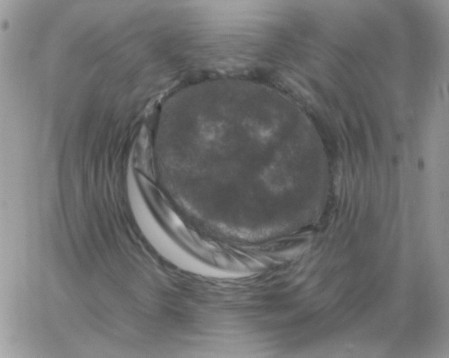 X0000062921298200602031912