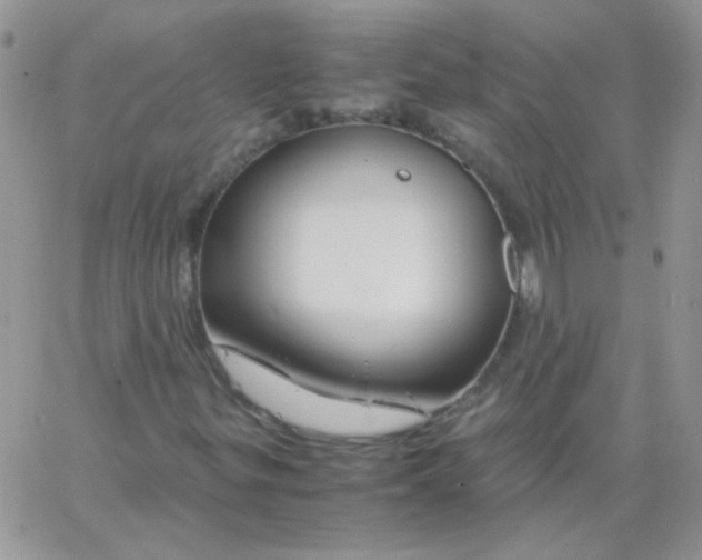 X0000062921299200602031912