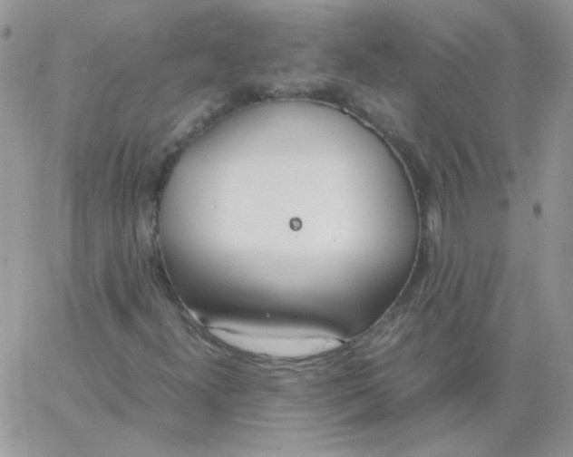 X0000062921300200602031912