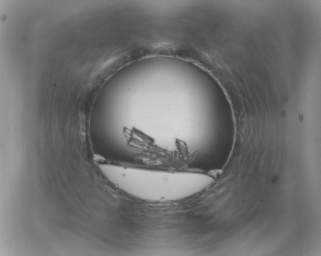 X0000062921301200602031912