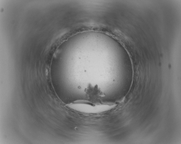 X0000062921302200602031912