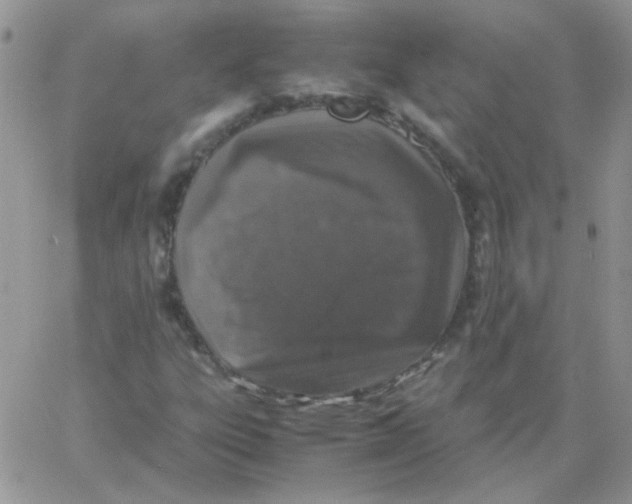 X0000062921303200602031912