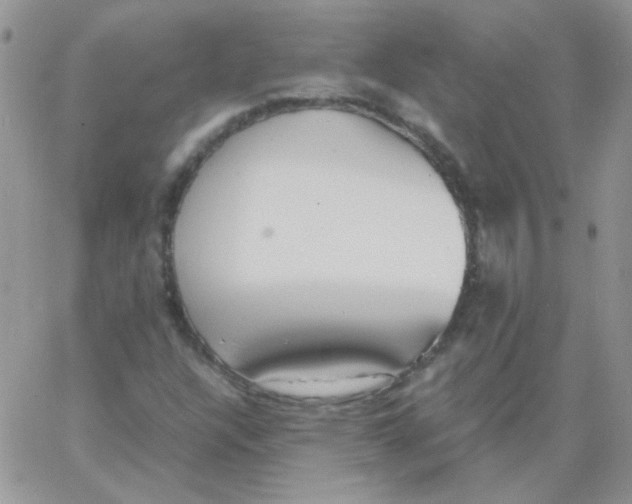 X0000062921304200602031912