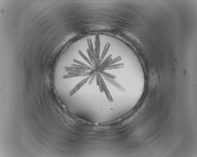 X0000062921305200602031912