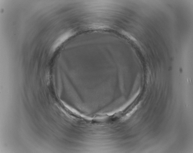 X0000062921306200602031912