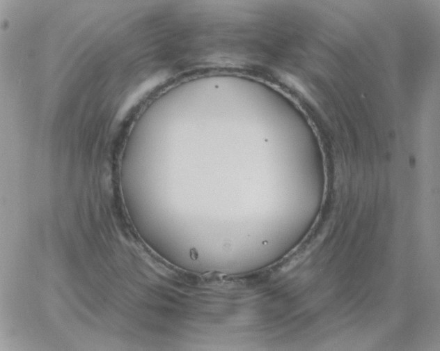 X0000062921307200602031912