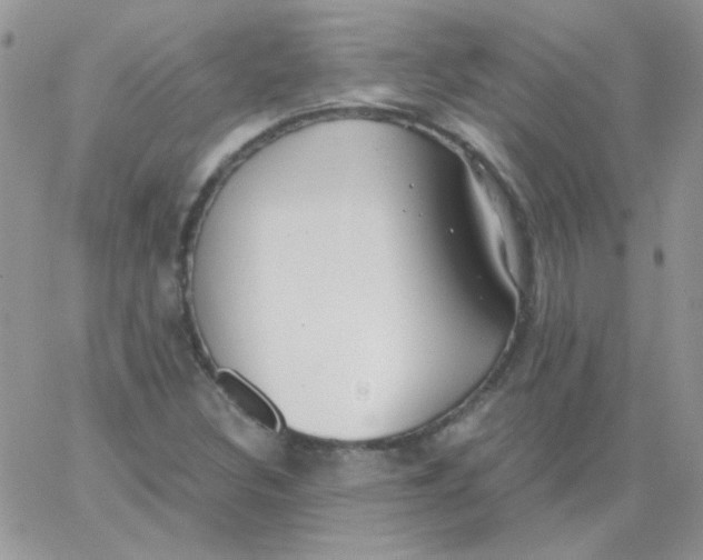 X0000062921308200602031912