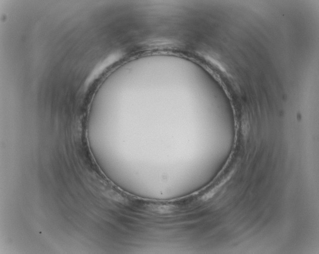 X0000062921309200602031912