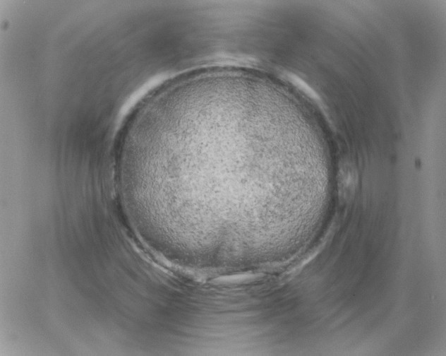 X0000062921310200602031912