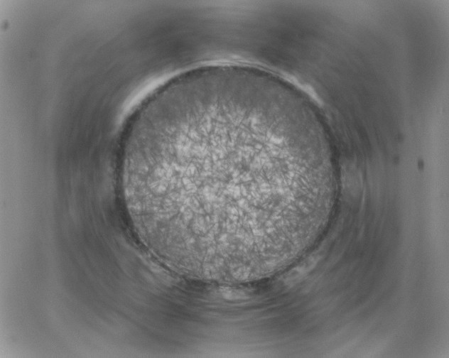 X0000062921311200602031912