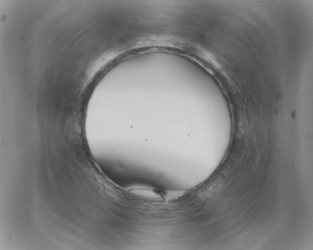 X0000062921312200602031912