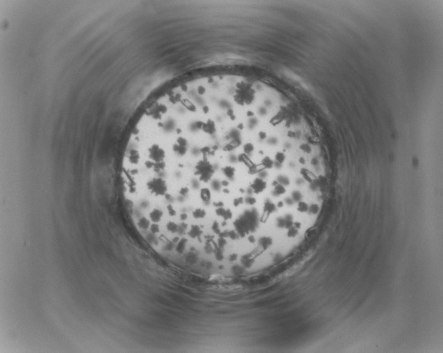 X0000062921313200602031912