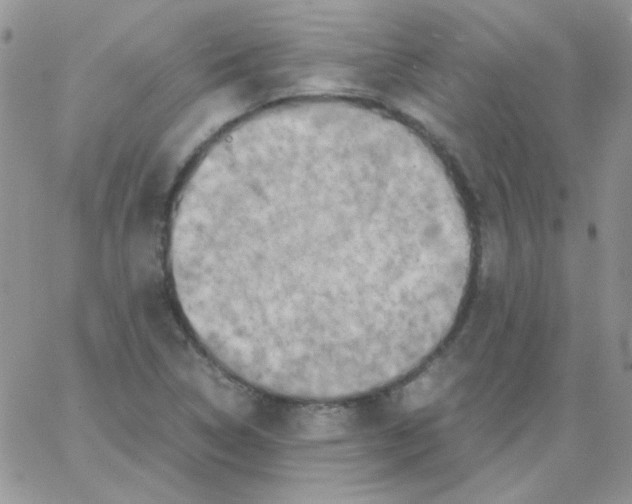 X0000062921314200602031912