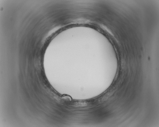 X0000062921315200602031912