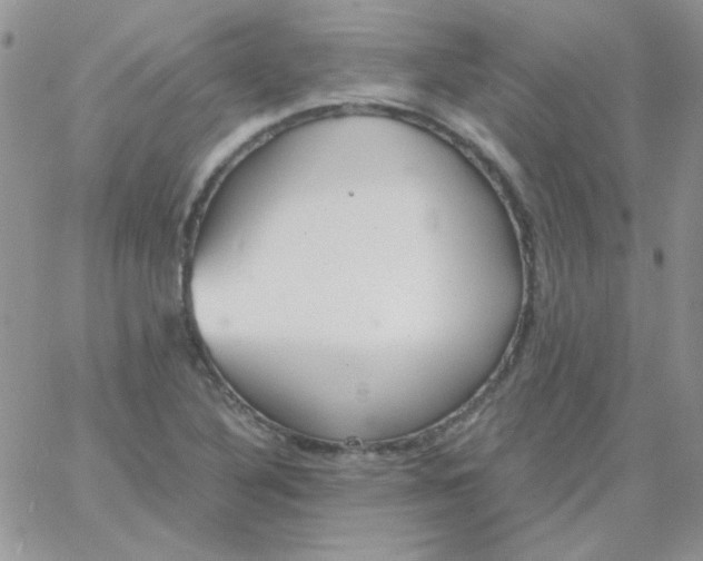 X0000062921316200602031912