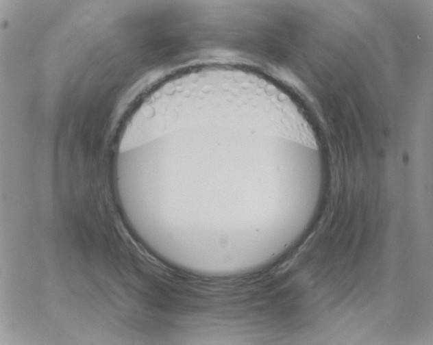 X0000062921318200602031912