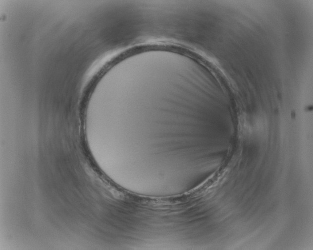 X0000062921319200602031912