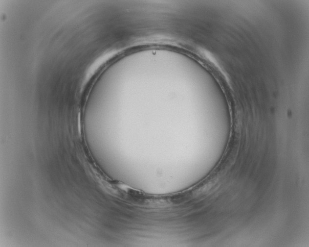 X0000062921320200602031912