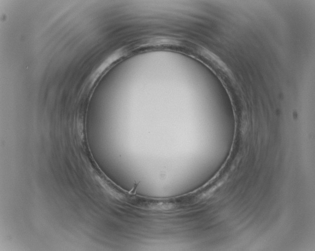 X0000062921321200602031912