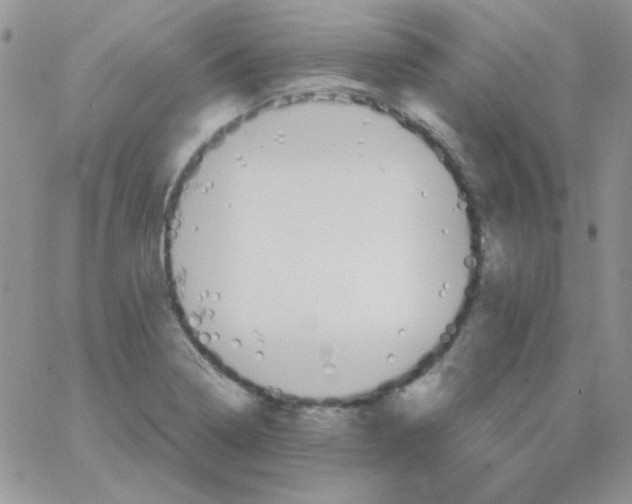 X0000062921322200602031912