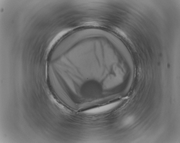 X0000062921323200602031912