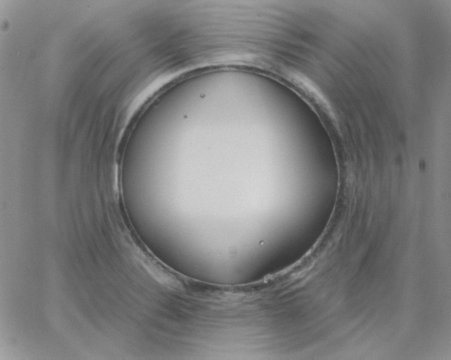 X0000062921324200602031912