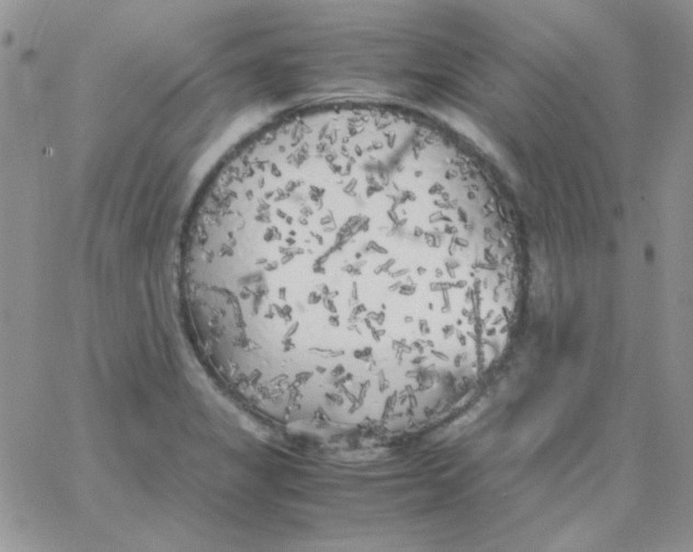 X0000062921325200602031912