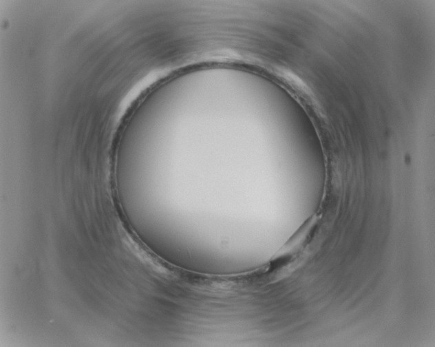 X0000062921326200602031912