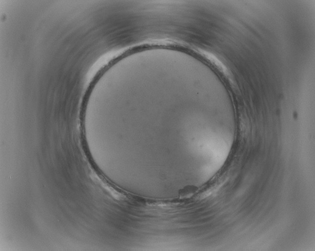 X0000062921327200602031912