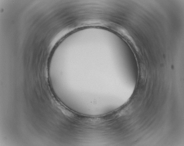 X0000062921328200602031912