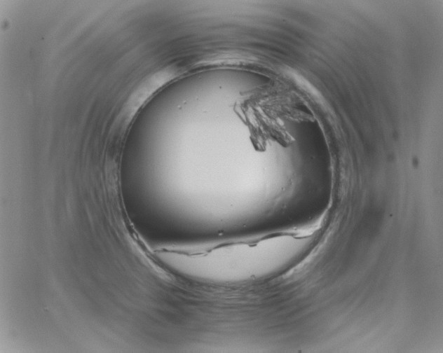 X0000062921329200602031912