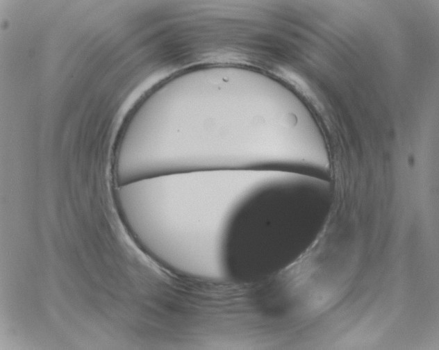 X0000062921331200602031912