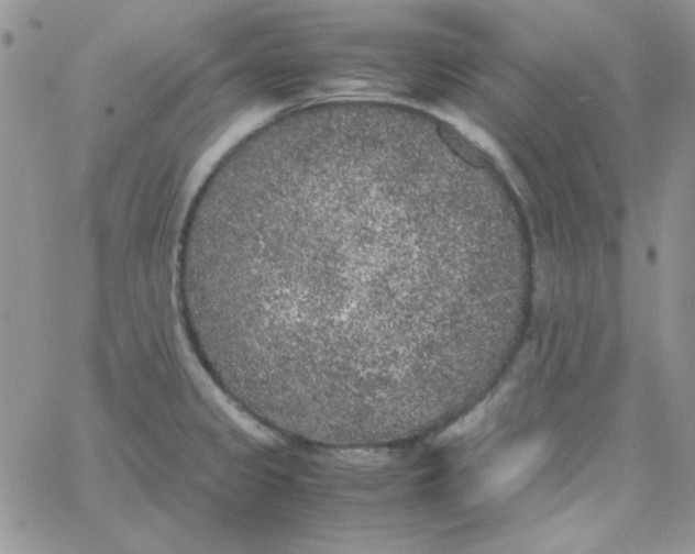 X0000062921333200602031912