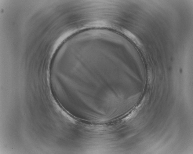 X0000062921334200602031912