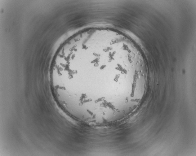 X0000062921335200602031912