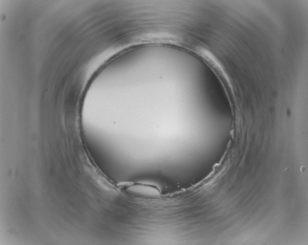 X0000062921336200602031912