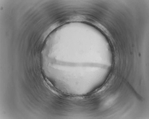 X0000062921337200602031912