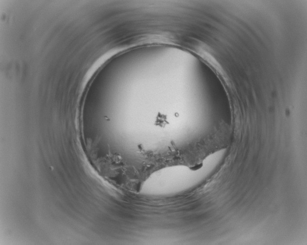 X0000062921339200602031912